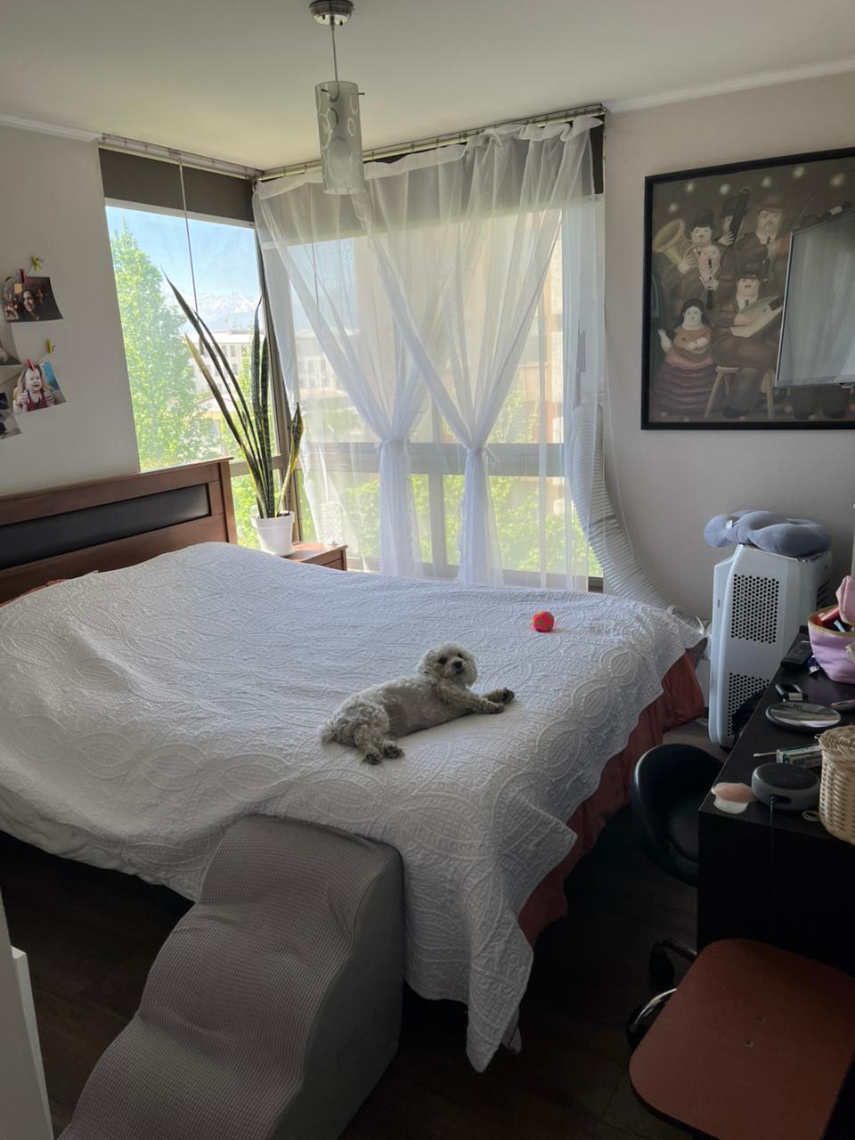 VENTA DEPARTAMENRO 3D + 2B SAN MIGUEL - Imagen 7